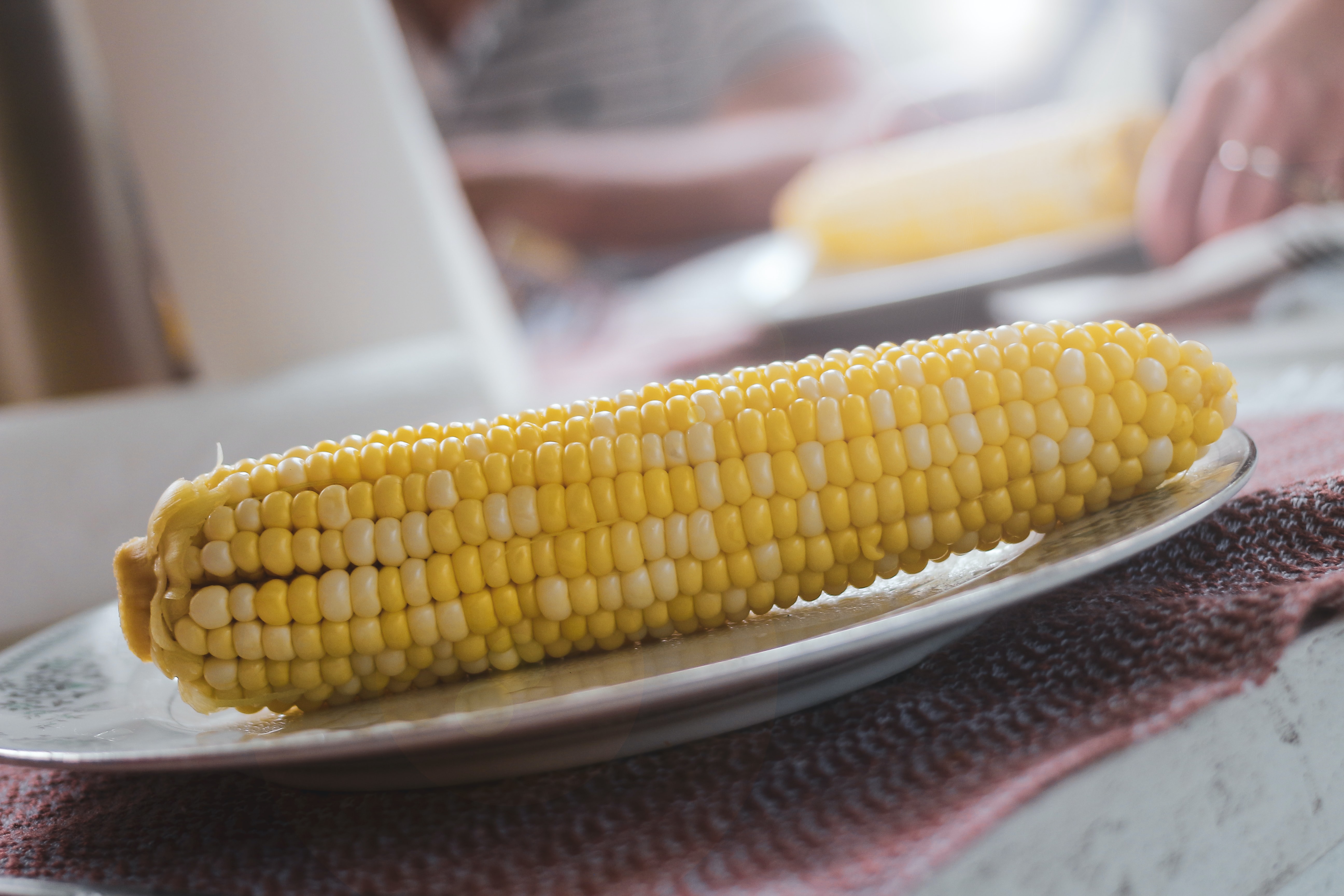 corn.png